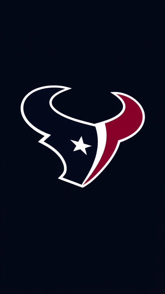 Houston Texans image